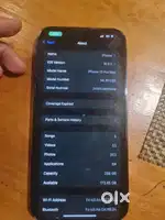 13 pro max