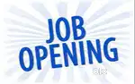 SALES /CCE/ASSISTANT/JOB