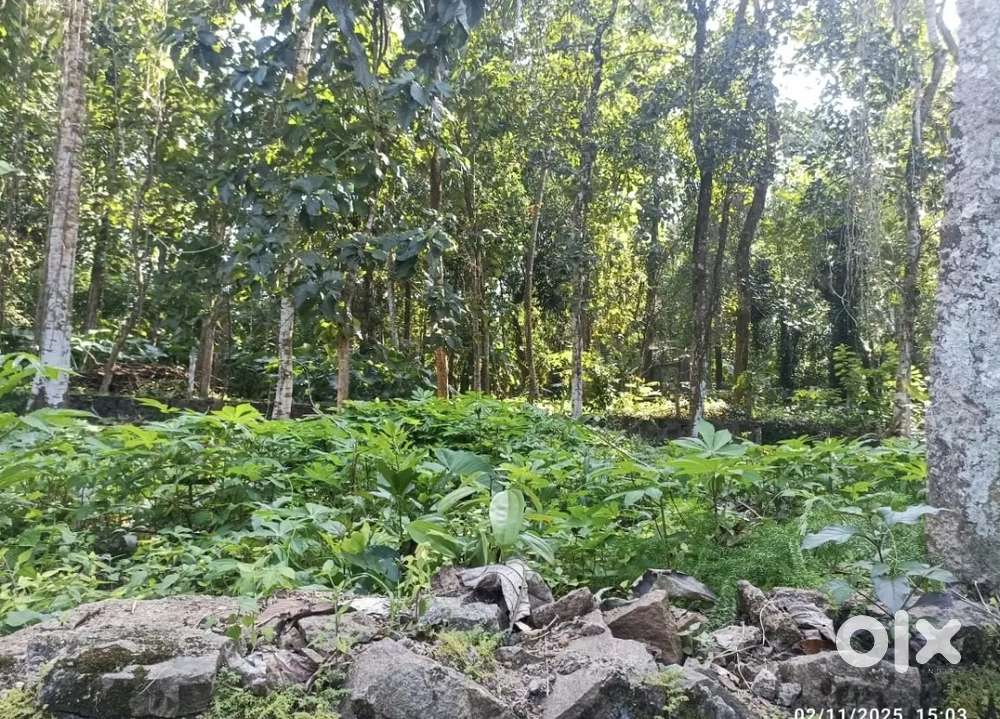 Sale of residential property