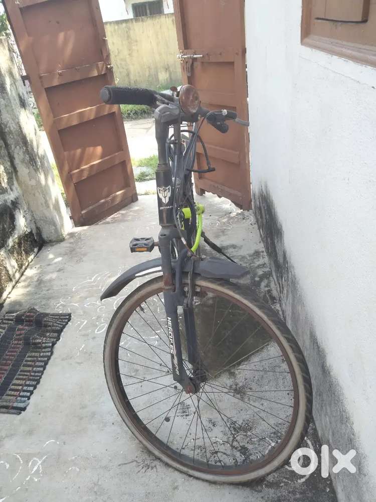 Nice cycle