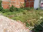 Cnt plot Shanti Nagar mango jhamshedpur
