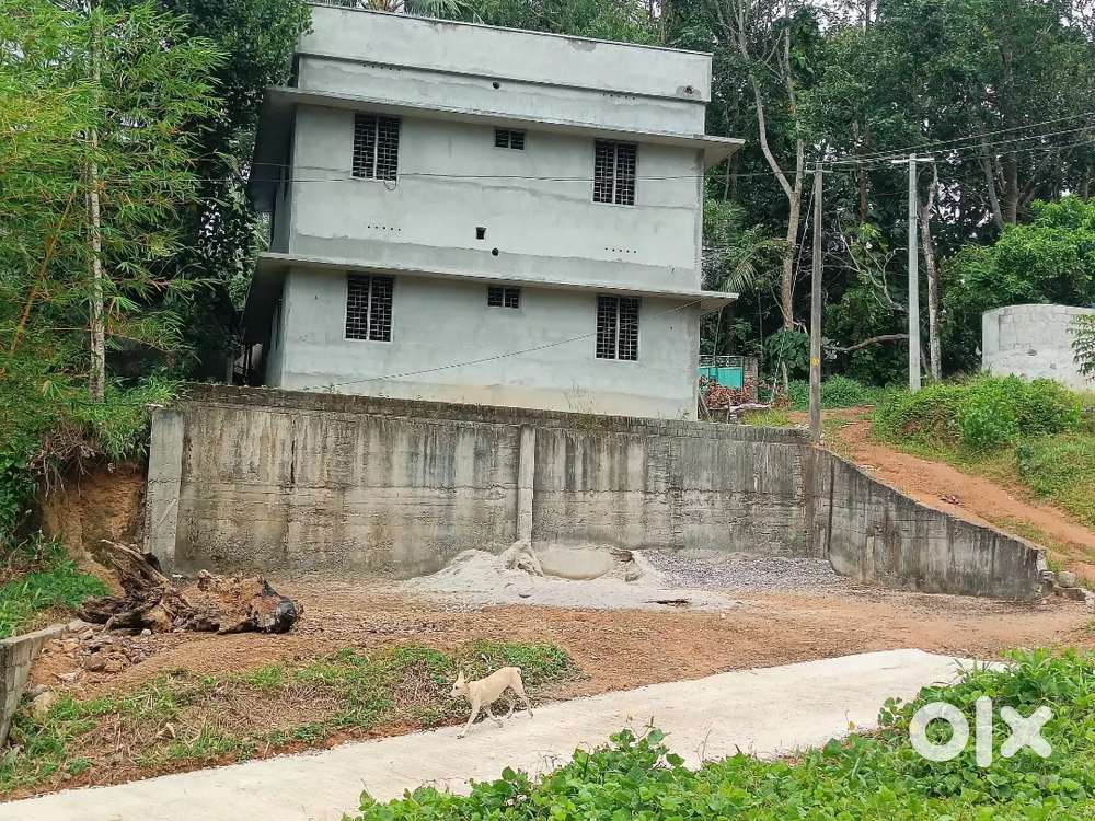 4.5 Cent Rectangular Plot Near Peyad Junction Trivandrum (1600000 /-)