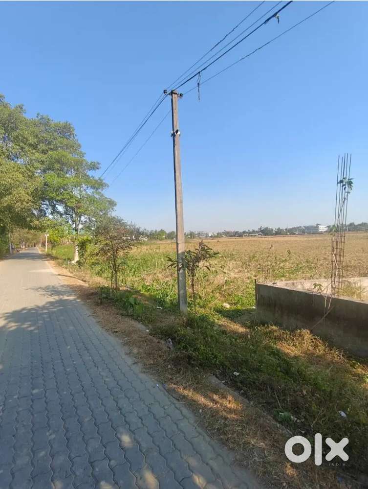 Nirmali gaon dibrugarh