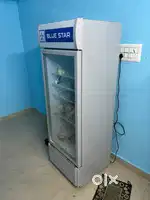 blue star restuarant fridge