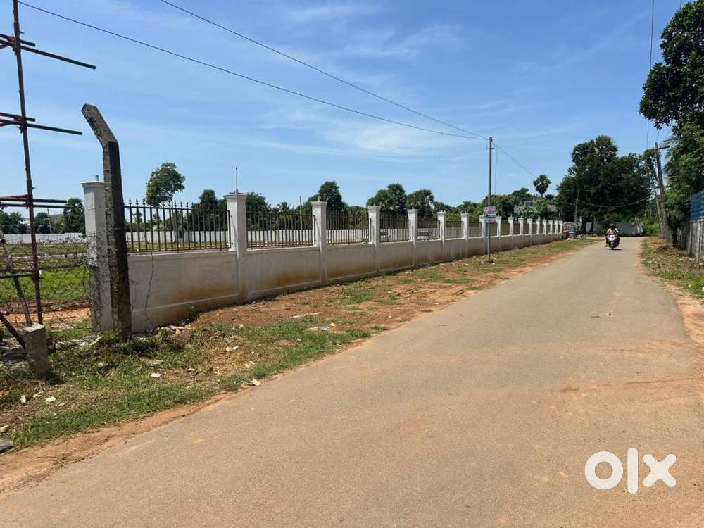 CMDA Approved Plts For Sale