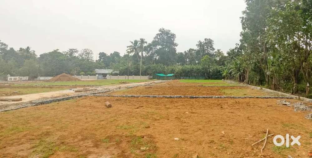 Cochin airport 20-25 minutes-Premium plots-90%Loan- Free registration