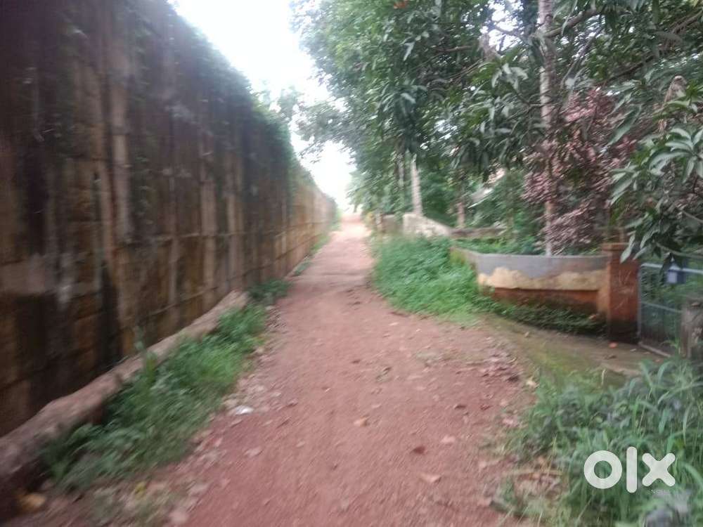 27 Cent House plot & Commercial plot in Medical college, Kottayam