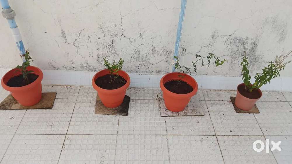 2 wheeler parking available