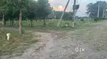 Plots for Sale at Ramabhadrapuram