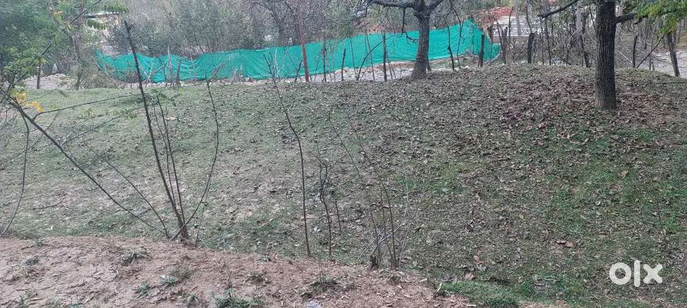 5 kanal land for sale.located 2.5 kms from Verinag