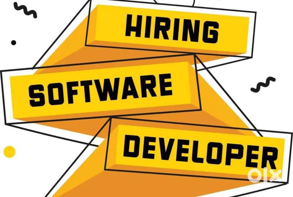 Software developer