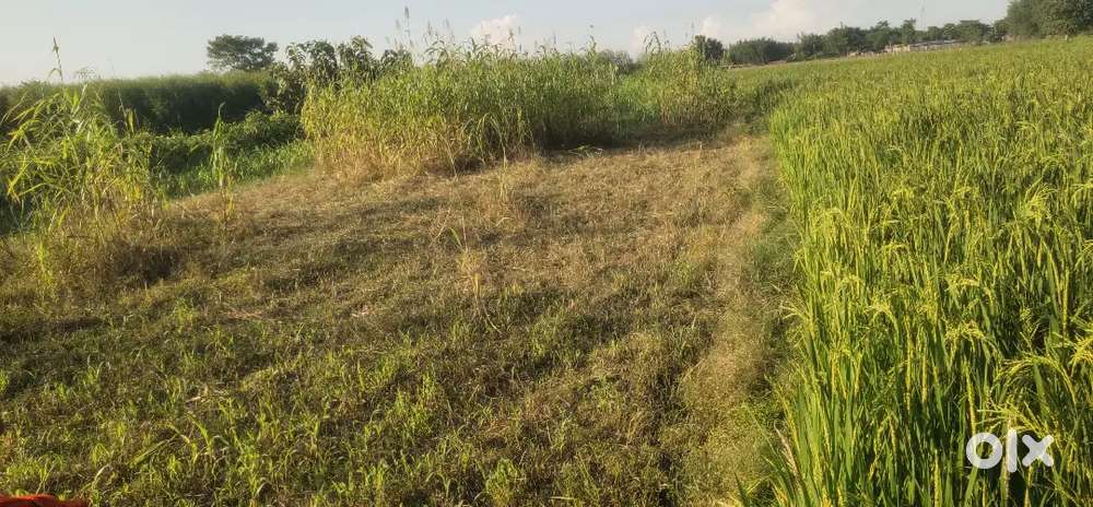 जमीन बिक्री है