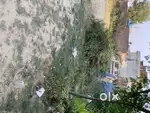 3-50 marle da plot for sale alipur mithapur taz enclave