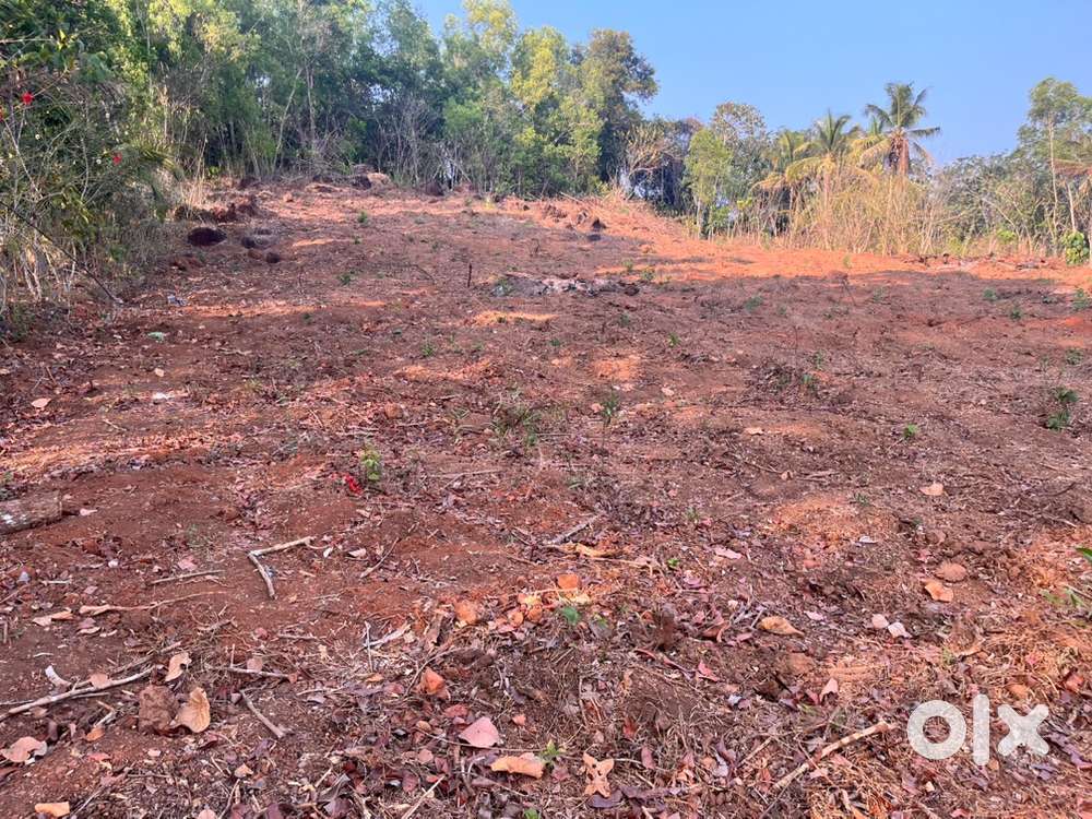 Ideal plot for house