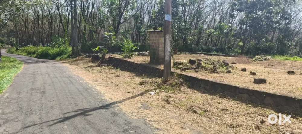 Kothamagalam - Chelad 6.200Cent Plot for sale