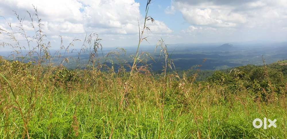 3 ACER PLOT FOR SALE WITH WATERFALL TOUCH @ MANTHAVADY KUTTIYADI ROAD