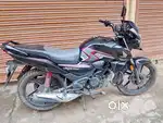 Shine SP 125