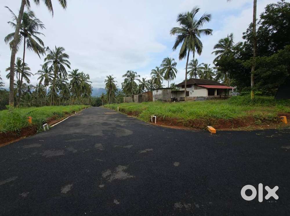 House plot in Mannarkkad for sale