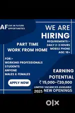 Students , Housewife ,job seekers can also apply