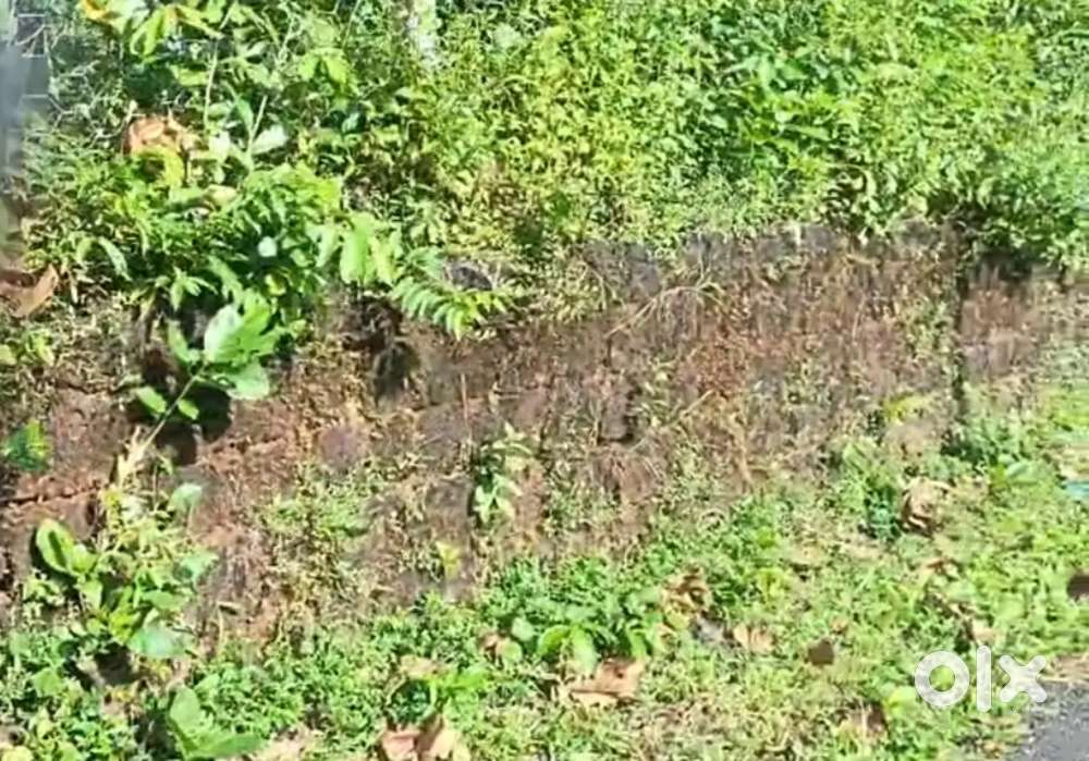 Settlement plot available for sale in Lotoulim, South Goa