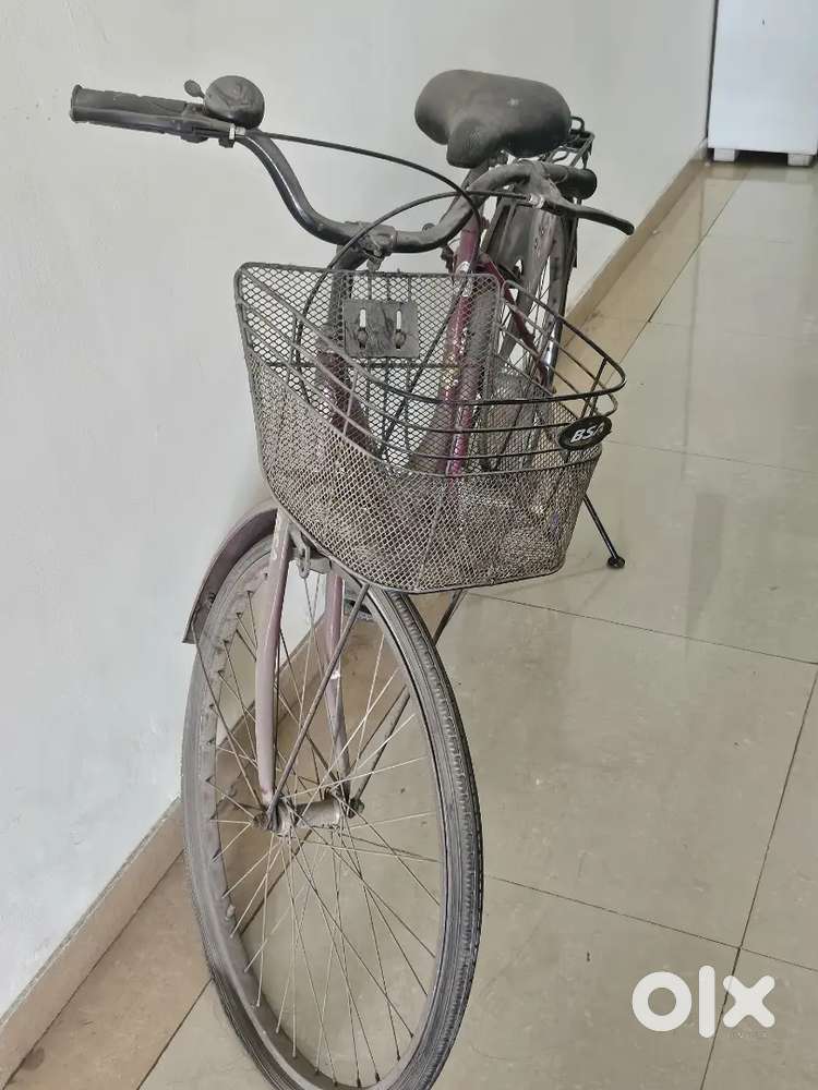 BSA Ladybird Bicycle – Sturdy & Stylish Ride with Front Basket