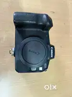 Canon EOS R