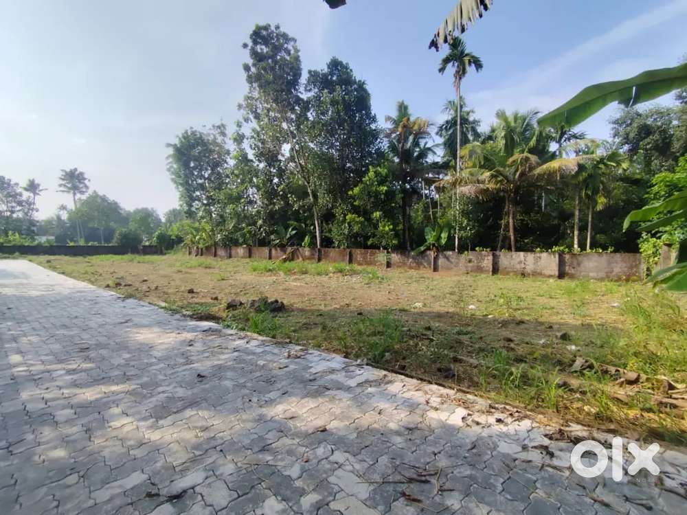 Near Angamaly Town Premium Villa Plots 5 to 25 Cent,Loan Facilities