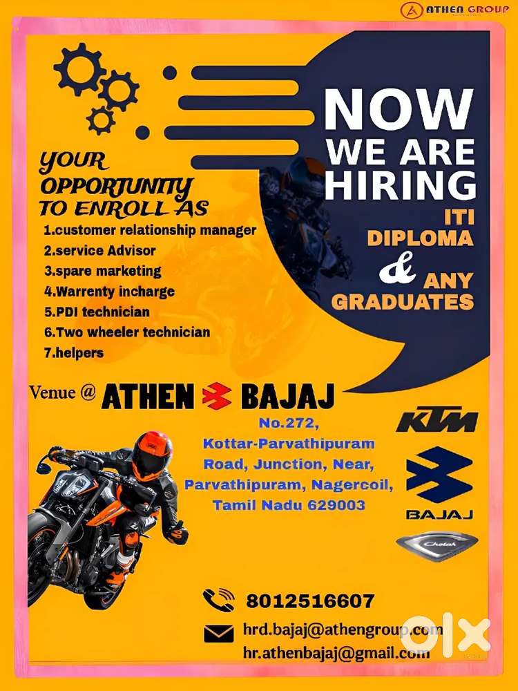 Sales Executive