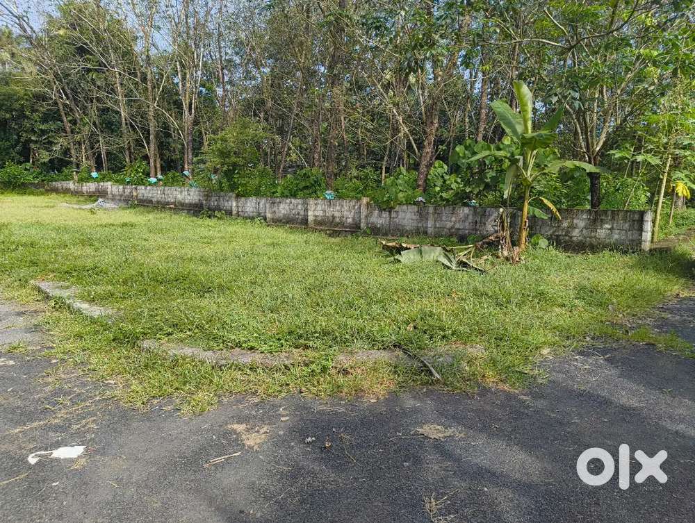 Land for sale
