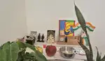 Roommate Required Karanjade area