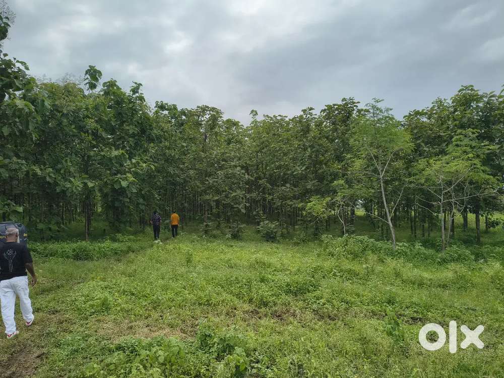 Farm House For Sell in sehore