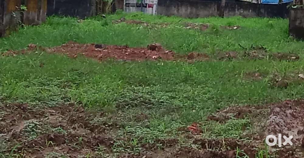 32 Cent Land 14 Lakh per cent Ernakulam  chittoor near Aster medicity