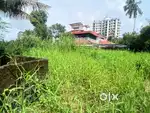 11 cents residential plot for sale at Elamkulam.