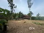 44cent land plot infront of NH183A