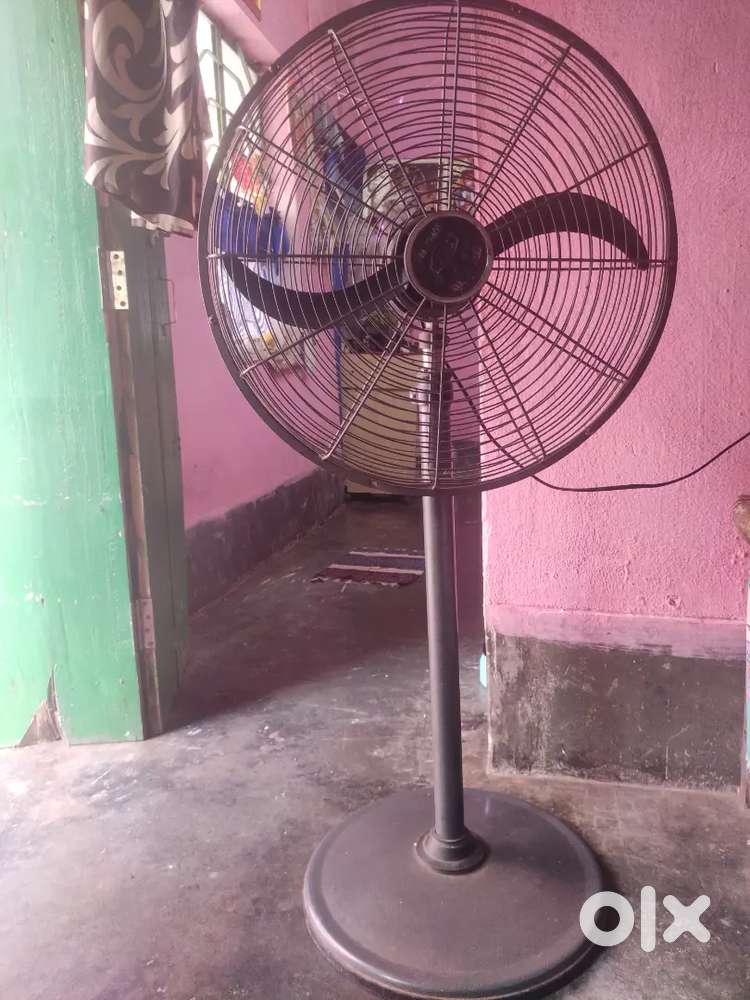 Crompton stand fan