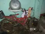 My 2 year old cycle
