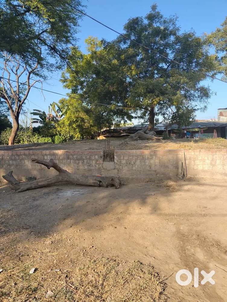 3000sq. Patte ka plot hai,