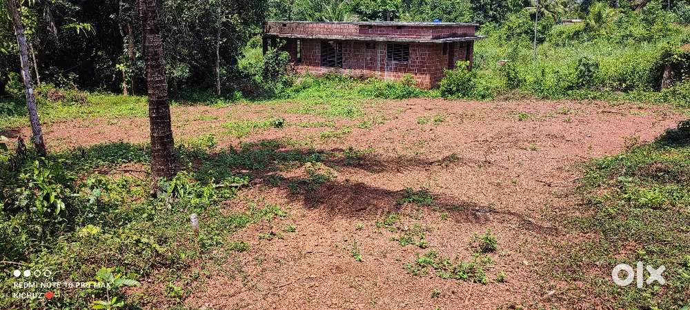 12 സെന്റ് Thariyeri, Maniyoor