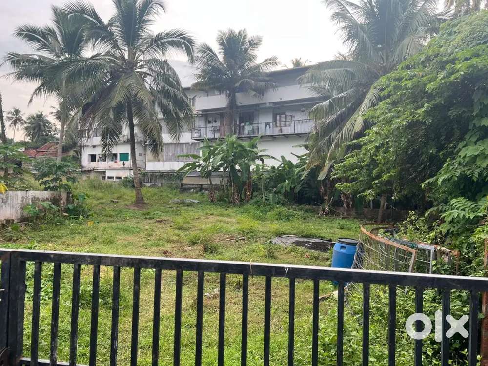 COMMERCIAL PLOT NEAR MOFFUSEL BUS STAND, KOZHIKODE