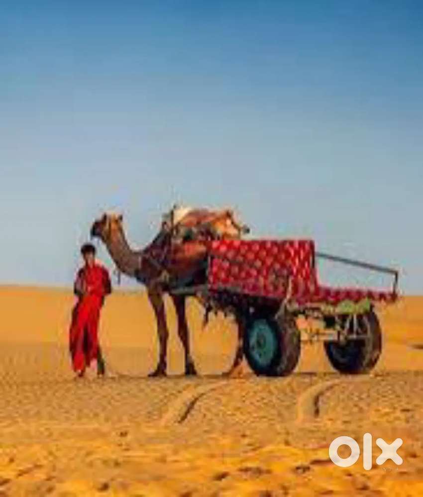 Agriculture serve india only girl