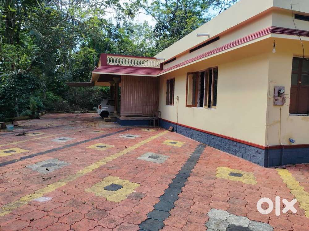 House for rent