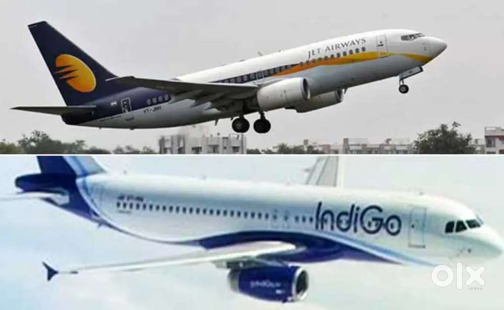 We are urgently required for ticketing executive in varanasi airport
