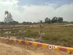 जलसा रिजल्ट से नज़दीक प्लॉट जिला पंचायत सेअप्रूव्ड सोसायटी