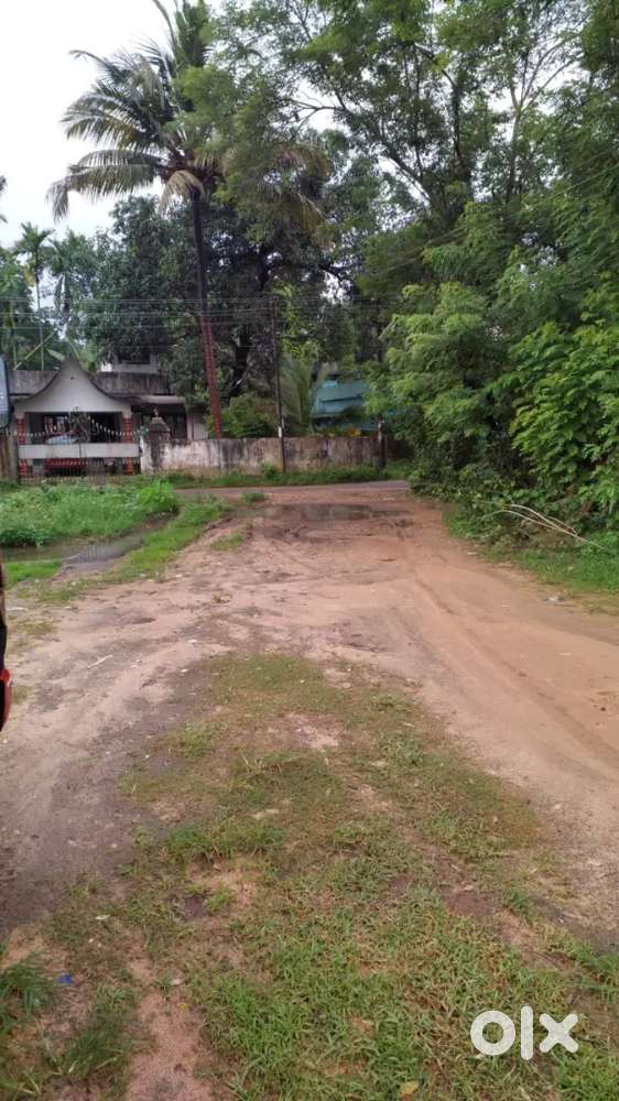 Land for sale in Mannam - Thathappilly road, North Paravoor, Ernakulam