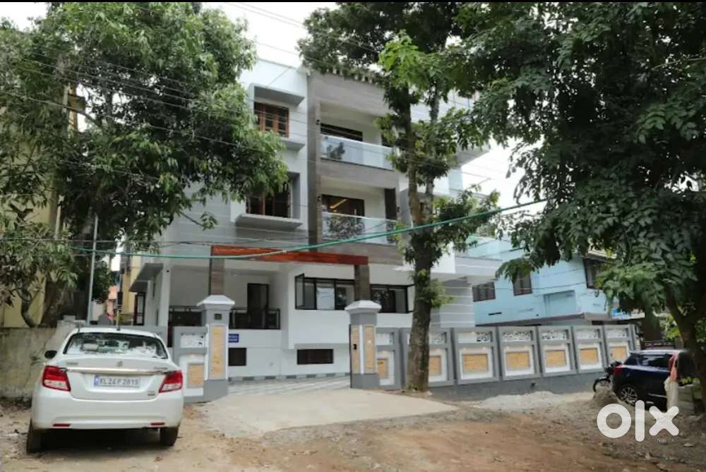 Programmer for Chartered Accountant Firm