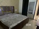 2Bhk(onwerfree) fully furnished sector 74mohali