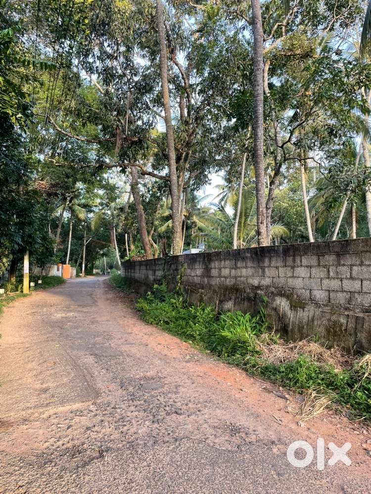 6cent plot near Nellimoodu