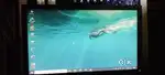 Dell Monitor Lcd