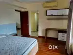 Luxurious Spacious Posh 3 BHK fully furnished Flat for rent at Kowdiar