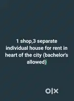 Shop, single beroom 3 house for rent
